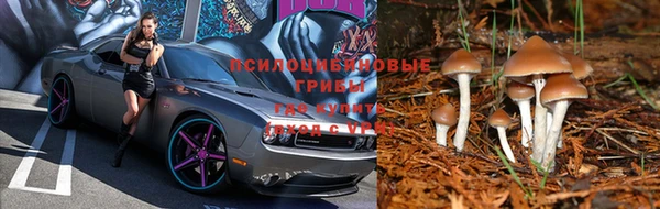 MESCALINE Михайловка