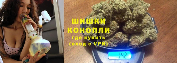 PSILOCYBIN Беломорск