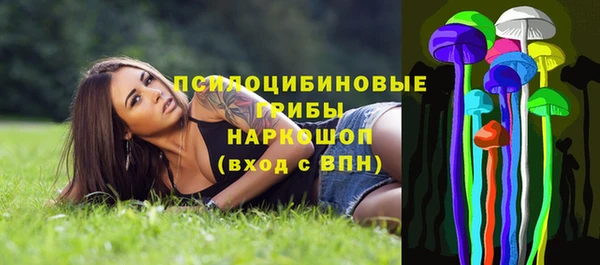 ешки Михайлов