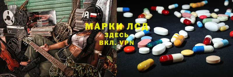 мега tor  продажа наркотиков  Шагонар  LSD-25 экстази ecstasy 