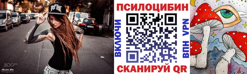 Псилоцибиновые грибы Cubensis  магазин    Шагонар 